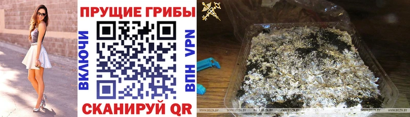 Псилоцибиновые грибы ЛСД  Сарапул 