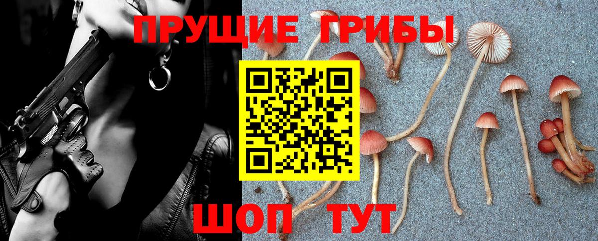 Галлюциногенные грибы мицелий Сарапул